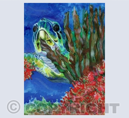 Sea Turtle II