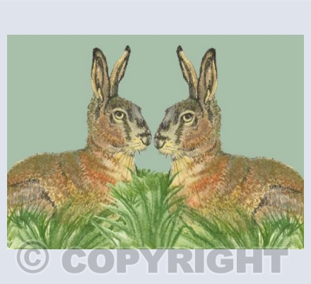 Twin Hares