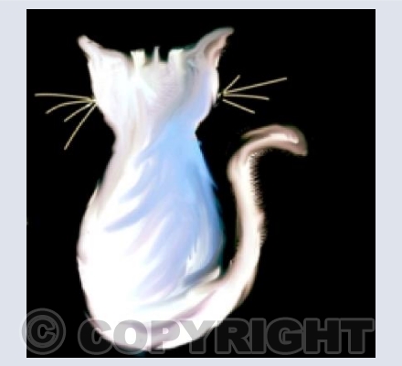 Pearl Cat