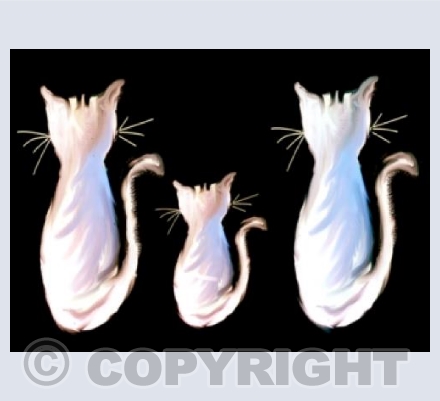 Cat Family