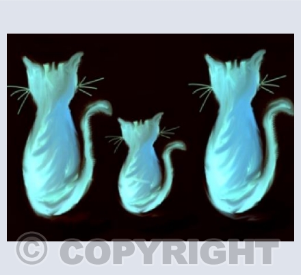 3 Turquoise Cats
