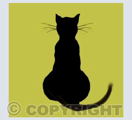 Black Cat on Yellow
