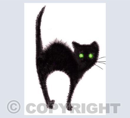 SCAREY CAT