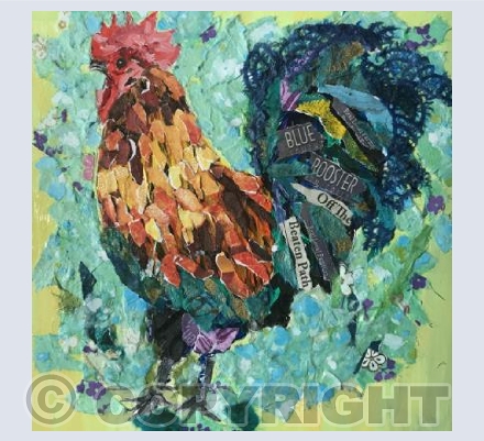 Blue rooster - off the beaten track