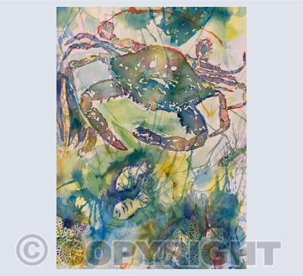Crab’s delight