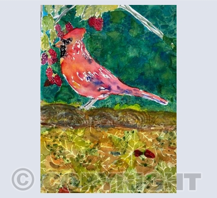 Cardinal on forest floor