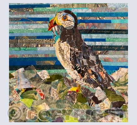 A puffin’s delight 