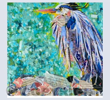 Waiting for the catch of the day 