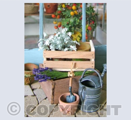 Miniature Gardener
