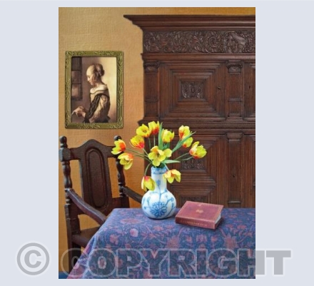 Miniature Yellow Tulips