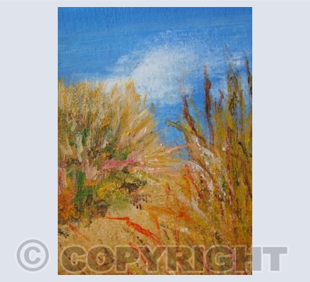 Through the Dunes