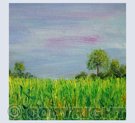 Field