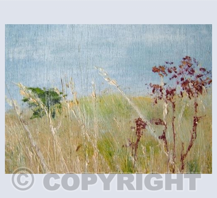 Grasses