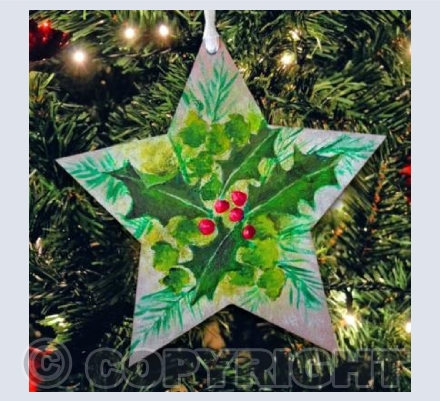 Holly Star 2