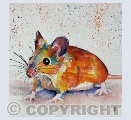 RAINBOW MOUSE