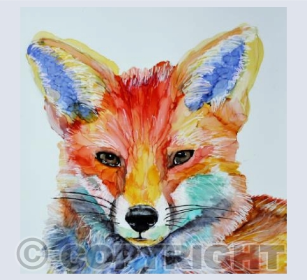RAINBOW FOX (2)