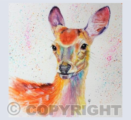 RAINBOW DEER