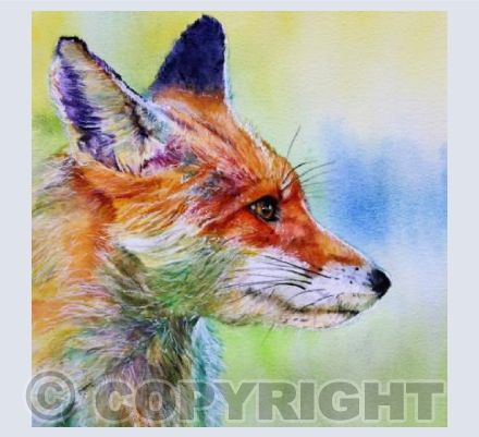 WATCHFUL FOX