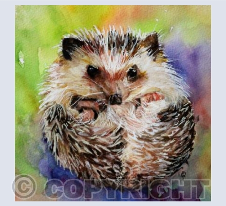 HOGLET