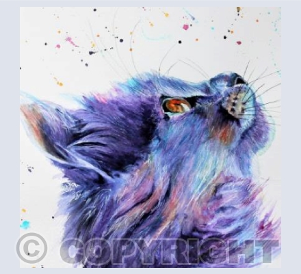 HOPEFUL CAT