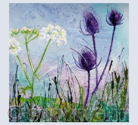 PURPLE TEASELS