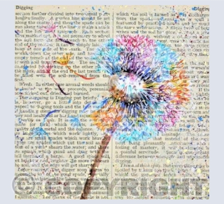 DANDELION CLOCK