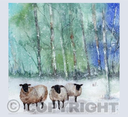 SNOW SHEEP