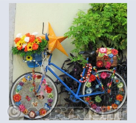 FLOWER POWER BICYCLE