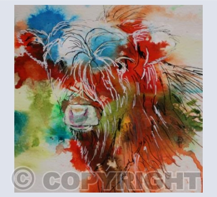 RAINBOW CALF