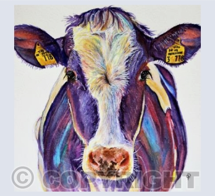 RAINBOW COW