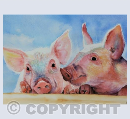 TWO LITTLE PIGGIES