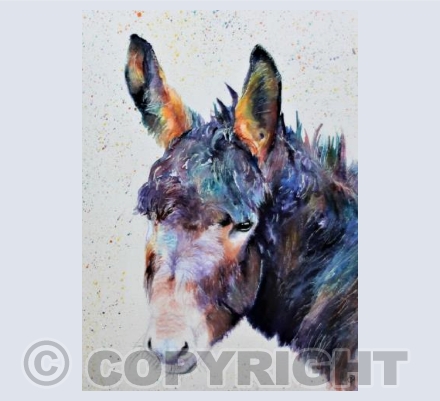 DONKEY
