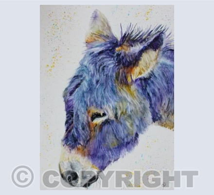 BLUE DONKEY