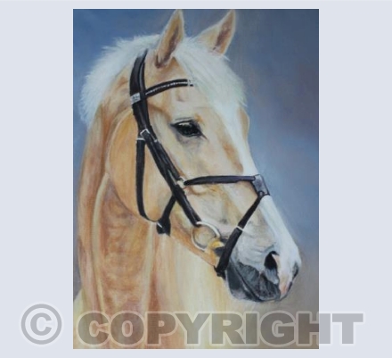 PALOMINO HORSE