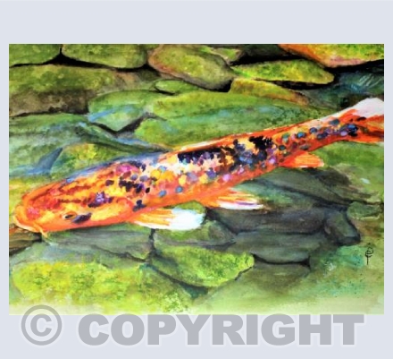 KOI