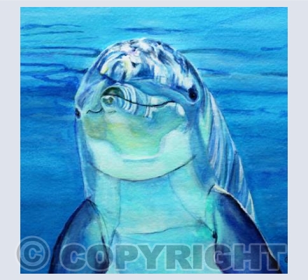 DOLPHIN