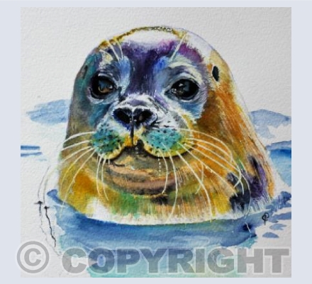 SEAL