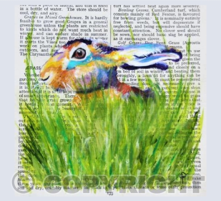BOOK PRINT HARE (2)