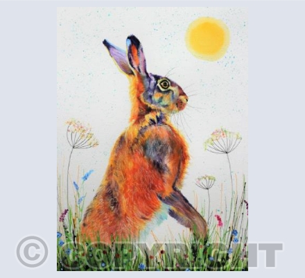 FLOWER MEADOW HARE