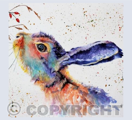 AUTUMN HARE
