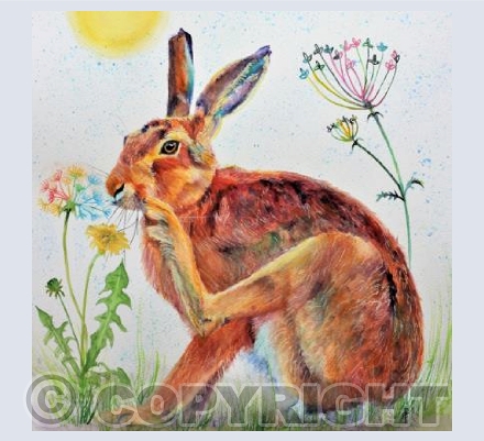 DANDELION HARE