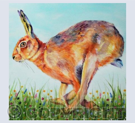 BOUNDING HARE