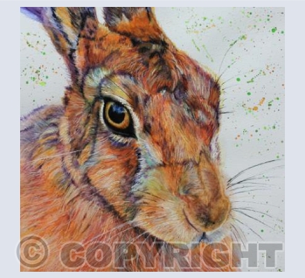 HARE PORTRAIT