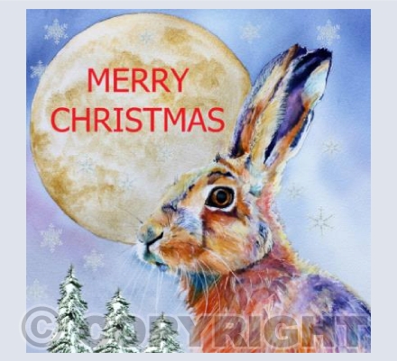 CHRISTMAS HARE