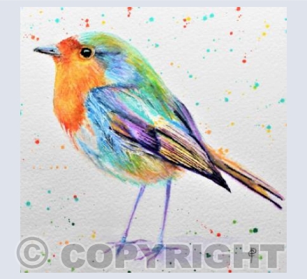 RAINBOW ROBIN