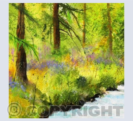 RIVERSIDE BLUEBELLS