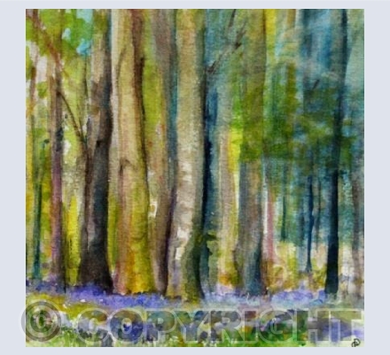 BLUEBELL WOOD