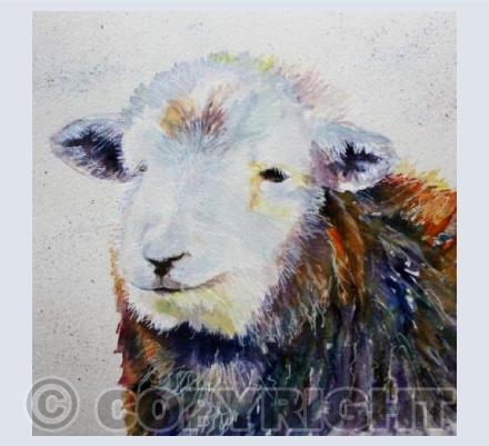HERDWICK 