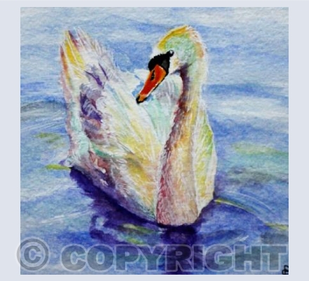 GRACEFUL SWAN