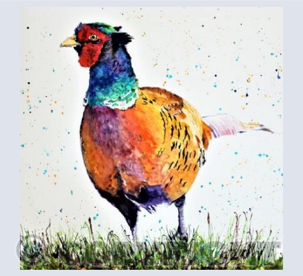 PHEASANT 